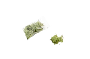 MUSGO 15GRS VERDE CLARO