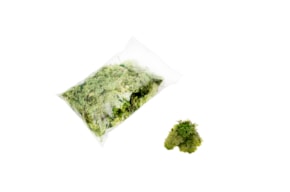 PR * MUSGO 100GRS VERDE CLARO