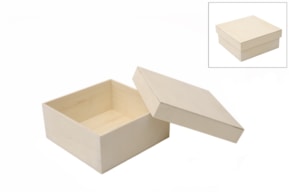 CAIXA 19X19X8CM
