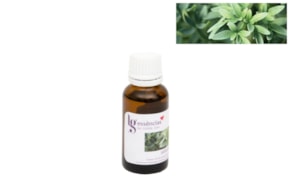 ESSENCIA 20ML ARRUDA