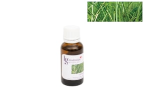 ESSENCIA 20ML VETIVER