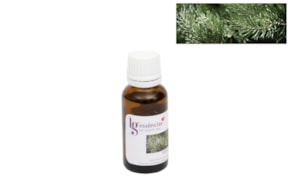 ESSENCIA 20ML PINHO