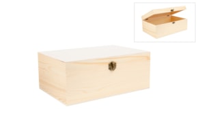 CAJA 30X20X12CM