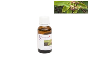 ESSENCIA 20ML SANDALO