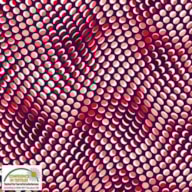 PR * FABRIC 100x112cm 4515-284 QUILTERS COORDINATES