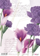 RICE PAPER 21x29.7CM LIFE IN PURPLE II  PFY-4363