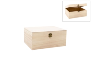 CAIXA 25X19.5X11.5CM