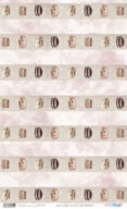 RICE PAPER 54X33CM RICO RICO  PFY-4571