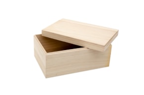 CAIXA 30X20X14CM