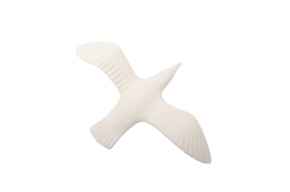 PR * GAIVOTA ASAS DOBRADAS 25X16.5X5CM