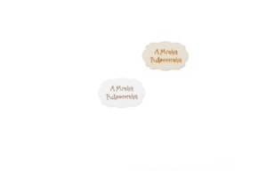 PLACA A MINHA PULSEIRINHA