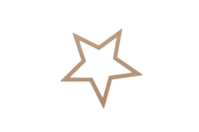 ESTRELA CAÇA SONHOS