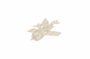 PRINCIPE NO AVIAO