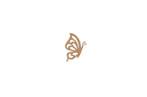 SET 12 MARIPOSAS 3.6X4X0.3CM MDF