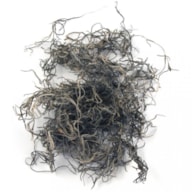 MUSGO NATURAL 20Ggrs RAYHER