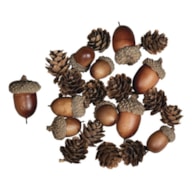 SORTIDO 27 BELLOTAS e PINHAS 2- 4CM RAYHER