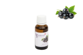ESSENCIA 20ML GROSELHA PRETA