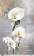 RICE PAPER 54X33CM LA VIE EN FLEURS CALLA LILY IV PFY-12741