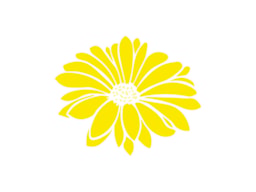 STENCIL 10X10CM MARGUERITE 300051504 ACRILEX
