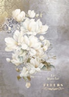 DECORATE CANVAS 70X50CM LA VIE FLEURS MAGNOLIAIV PFY-12792