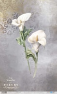 PAPEL ARROZ 54X33CM LA VIE EN FLEURS CALLA LILY I  PFY-13022