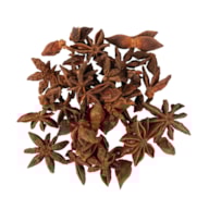 PR * ESTRELA DE ANIS 30GRS  RAYHER