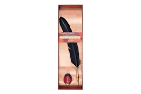 PENA DO ESCRITOR PRETA 85522