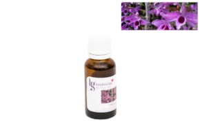 ESSENCIA 20ML ORQUIDANA