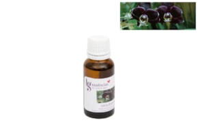 ESSENCIA 20ML ORQUIDEA NEGRA