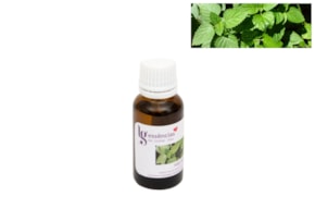 ESSENCIA 20ML MELISSA