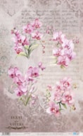 RICE PAPER 54X33CM LA VIE EN FLEURS PINK ORCHID PFY-15096