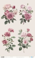 PAPEL ARROZ 54X33CM VINTAGE ROSES III  PFY-15146