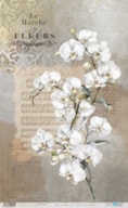 RICE PAPER 54X33CM LA VIE EN FLEURS WHITE ORCHID  PFY-15084