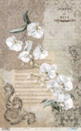 RICE PAPER 54X33CM LA VIE EN FLEURS WHITE ORCHID PFY-15086