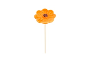 FLOR MALMEQUER D.8 X 24CM LARANJA