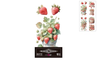 DECOR TRANSFERS 15X30CM STRAWBERRIES PFY-15715