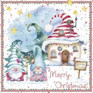 SET 20 NAPKIN 33X33CM MERRY CHRISTMAS