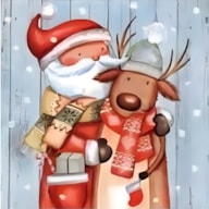 SET 20 NAPKIN 33x33CM CHRISTMAS 303751