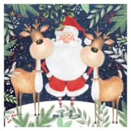 SET 20 NAPKIN 33x33CM CHRISTMAS 303550