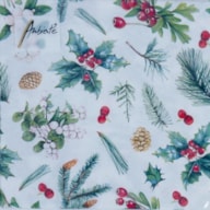 SET 20 NAPKIN 33X33CM WINTER GREENERY CHRISTMAS