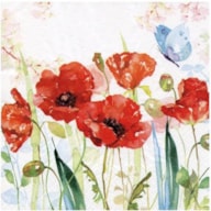 SET 20 NAPKIN 33x33CM POPPIES 344593