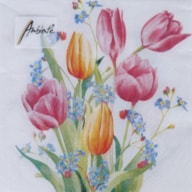 SET 20 NAPKIN 33X33CM TULIPS BOUQUET