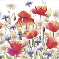 SET 20 NAPKIN 33X33CM POPPIES AND CORNFLOWERS