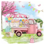 EMB. 20 GUARDANAPOS 33x33CM CARRINHA FLORES 381035