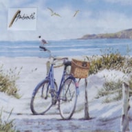 EMB. 20 GUARDANAPOS 33X33CM BIKE AT THE BEACH