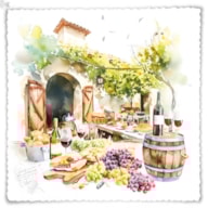 EMB. 20 GUARDANAPOS 33x33CM CASA RURAL 344666