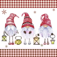 EMB. 20 GUARDANAPOS 33x33CM GNOMOS 303617