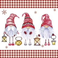 SET 20 NAPKIN 33x33CM GNOMES 303617