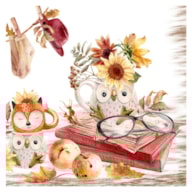 SET 20 NAPKIN 33x33CM OWL & FOX