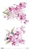 RICE PAPER 54X33CM LA VIE EN FLEURS ORCHID VIII PFY-15128